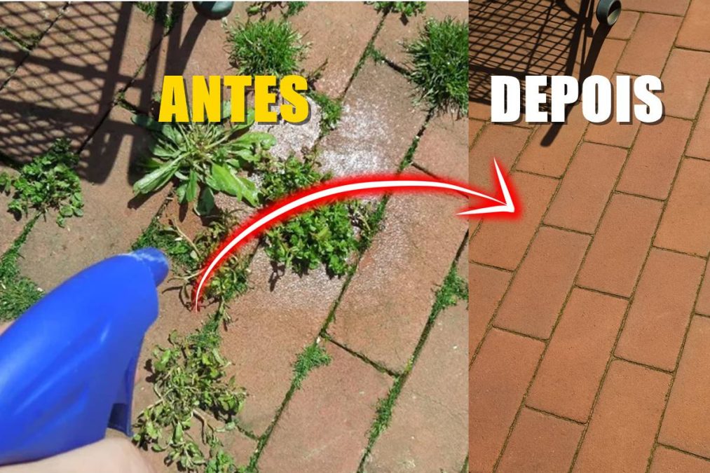 Mistura caseira com vinagre elimina ervas daninhas da calçada sem usar veneno