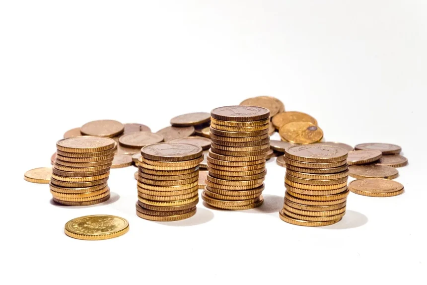 Dividendos da Suno Asset: seis fundos pagam cotistas com rendimentos de até 1,50%