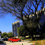 Comissão formada e edital autorizado impulsionam concurso do Detran PR.