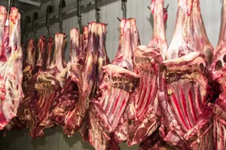 Exportação de carne bovina do Brasil para a China atinge 80% da cota anual