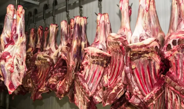 Exportação de carne bovina do Brasil para a China atinge 80% da cota anual