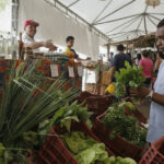 Exigência de CNPJ para autônomos e produtores rurais é adiada para 2027