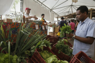 Exigência de CNPJ para autônomos e produtores rurais é adiada para 2027